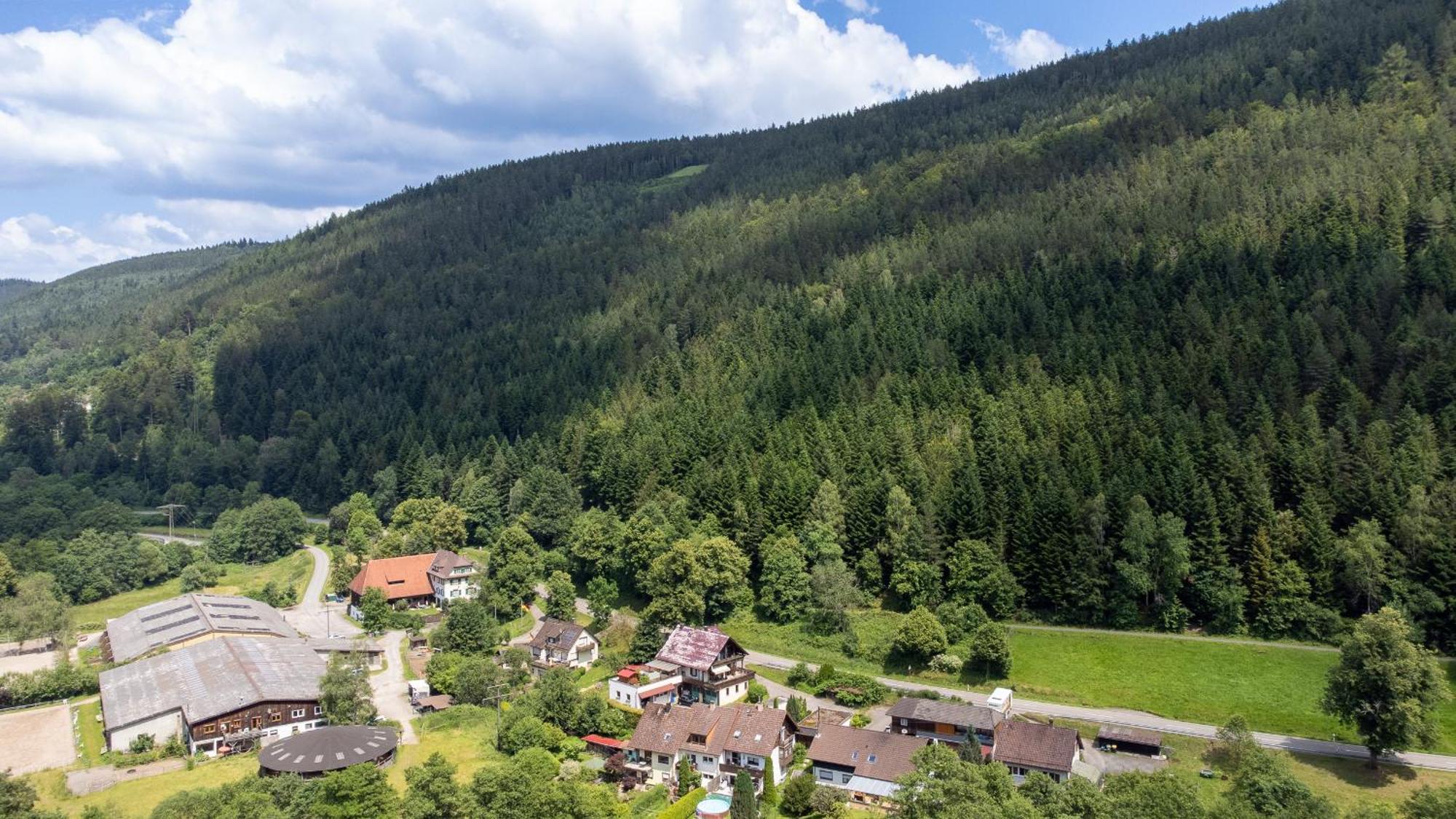 Black Forest Design Apartment Bad Wildbad Luaran gambar
