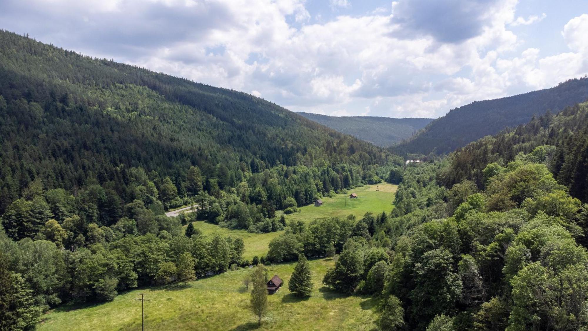 Black Forest Design Apartment Bad Wildbad Luaran gambar